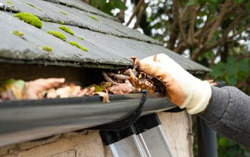 gutter cleaning Lower Langford, Somerset