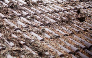 Lower Langford roof cleaning companies