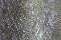 Lower Langford fibreglass roof work